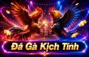 Giao diện Đá Gà DAGA